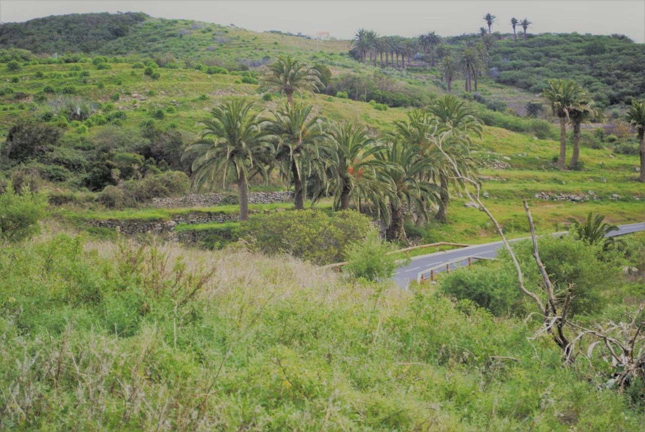 Finca Ulises Las Hayas Valle Gran Rey Exterior foto