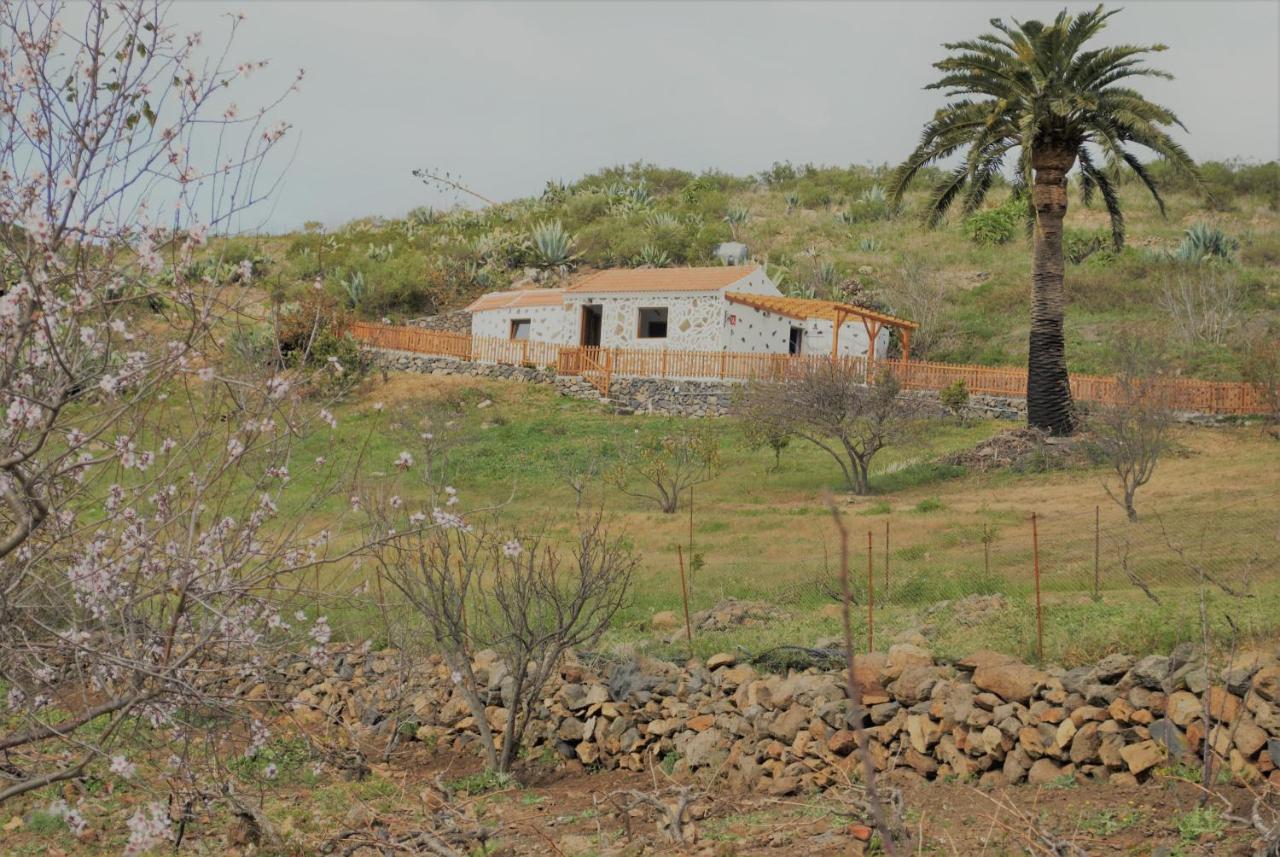 Finca Ulises Las Hayas Valle Gran Rey Exterior foto
