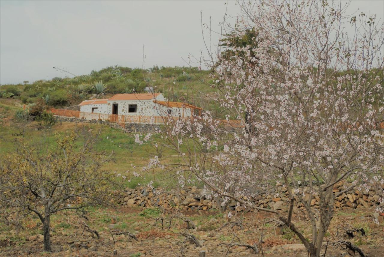 Finca Ulises Las Hayas Valle Gran Rey Exterior foto