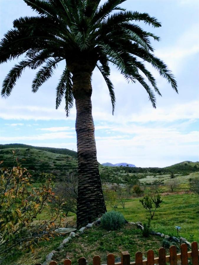 Finca Ulises Las Hayas Valle Gran Rey Exterior foto