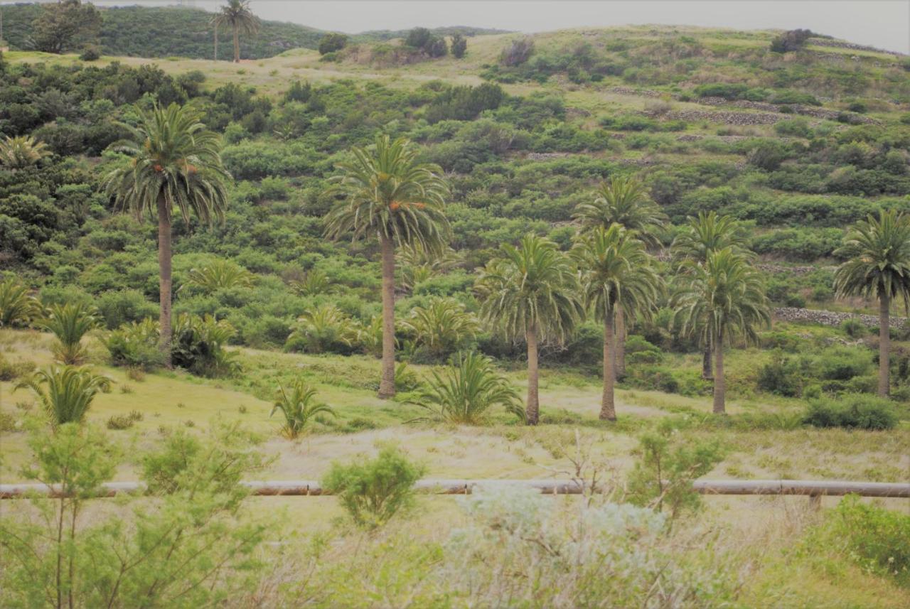 Finca Ulises Las Hayas Valle Gran Rey Exterior foto